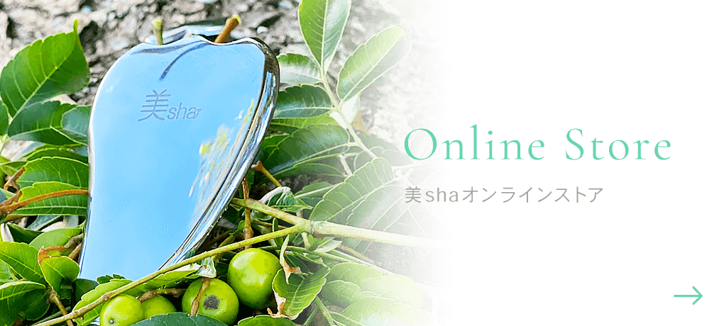Online Store美sha